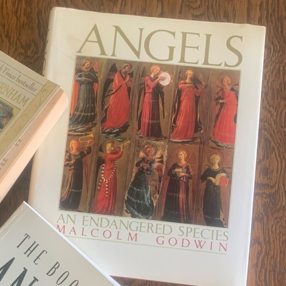 Beautiful ‘Angels an Endangered Species’ Book. Perfect for Christmas! - Picture 4 of 4